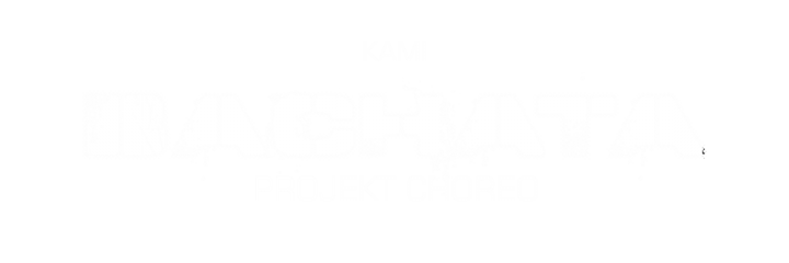 Bachata Project Choreo