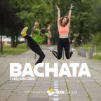 Bachata  | Cover Kwadrat nr 367