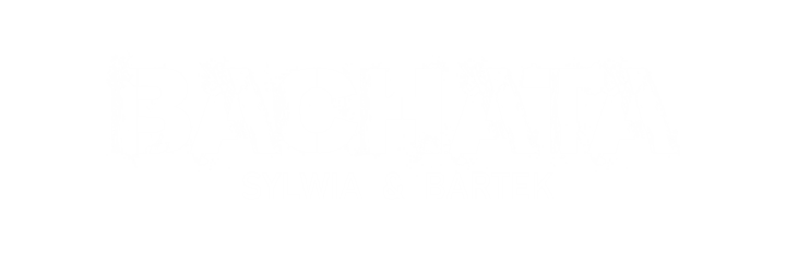 Bachata