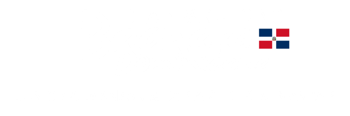 BACHATA DOMINICANA PARY